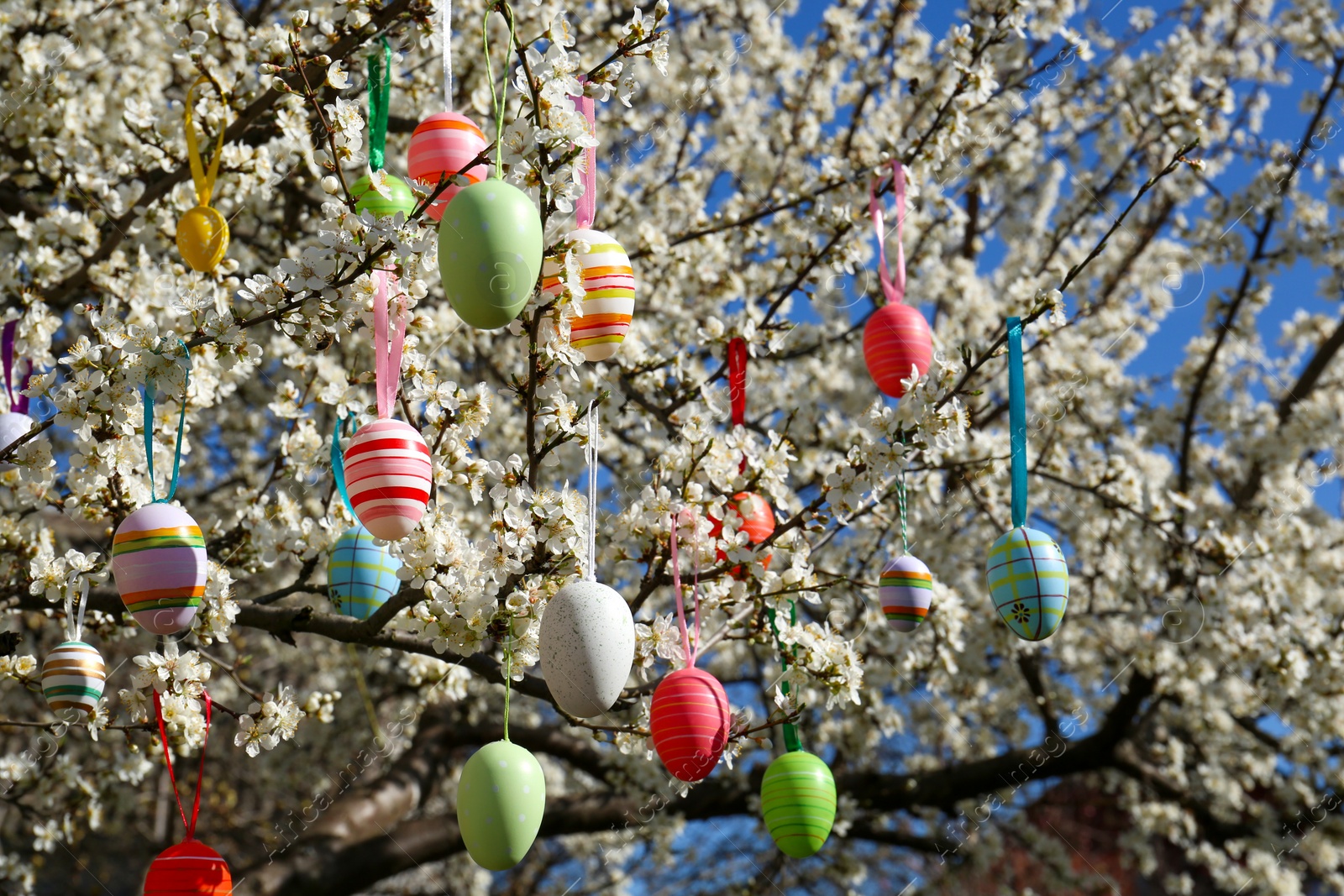 Photo of Beautifully painted Easter eggs hanging on blooming cherry tree outdoors