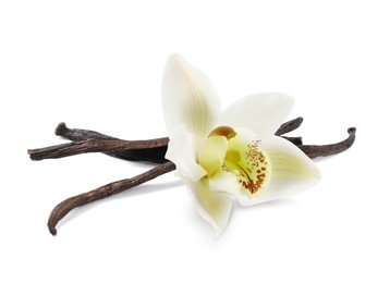 Dried aromatic vanilla sticks and beautiful flower on white background