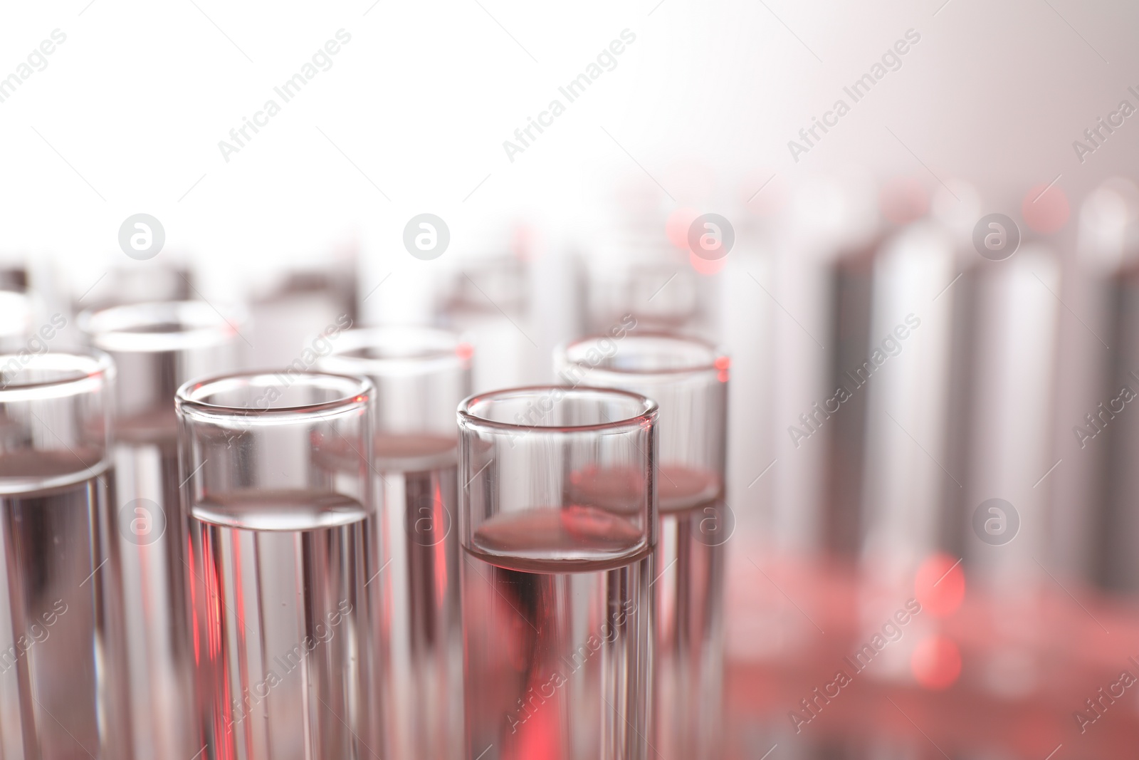 Photo of Many glass test tubes on light background, closeup