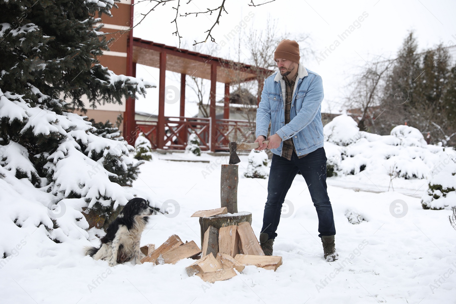 Photo of Man chopping wood with axe next to cute dog outdoors on winter day