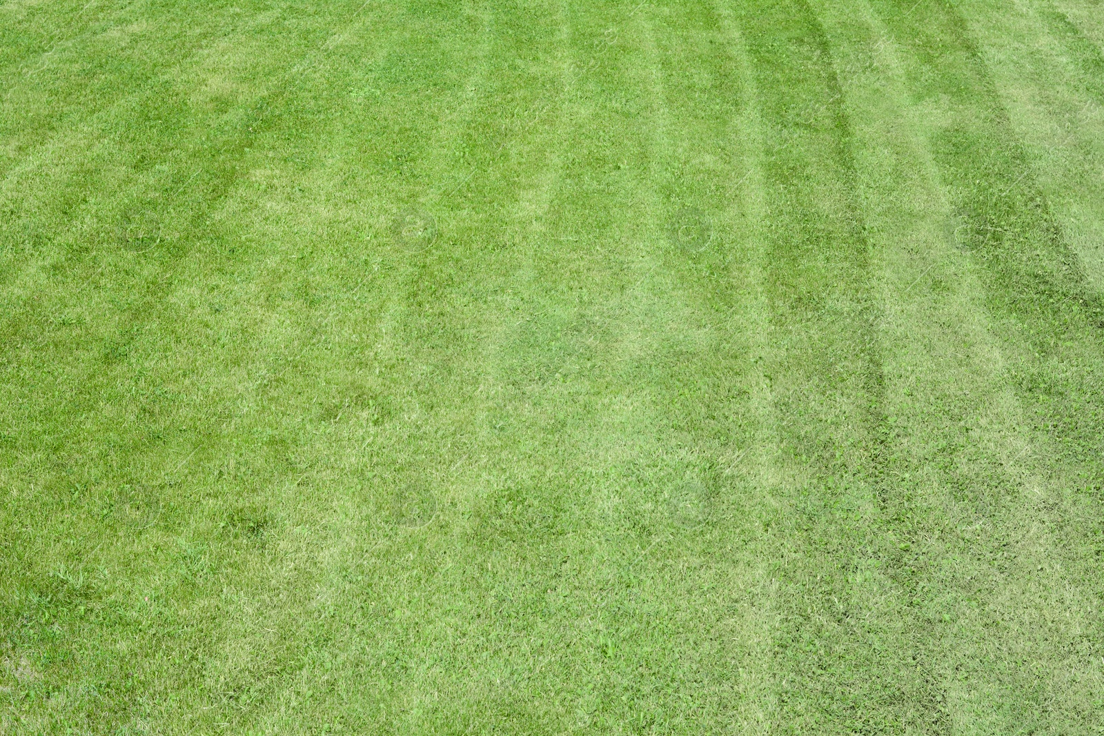 Photo of Beautiful green lawn outdoors on sunny day, above view