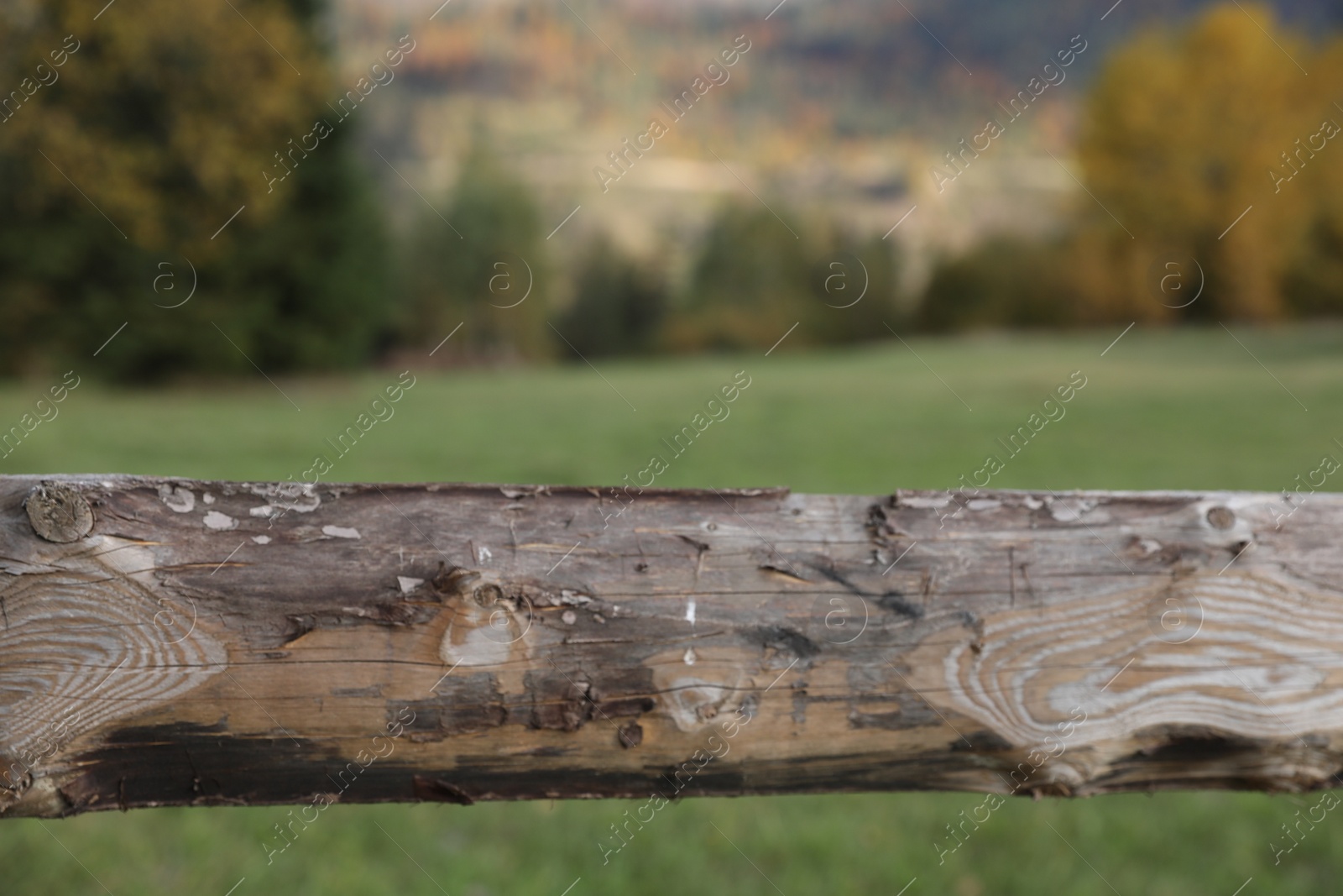 Photo of Old unpainted wooden fence outdoors, closeup view
