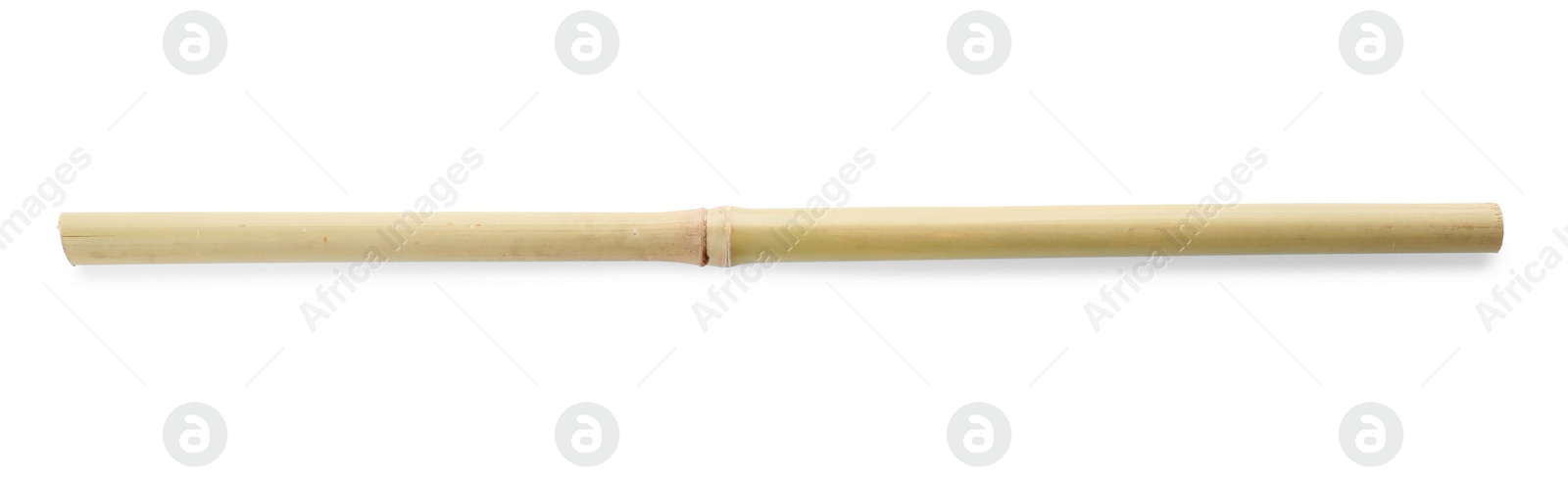 Photo of Dry bamboo stick on white background