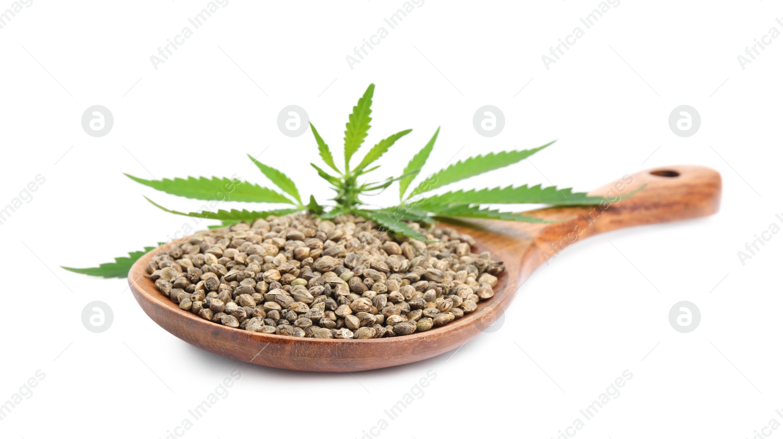 Photo of Wooden spoon with hemp seeds and leaves on white background