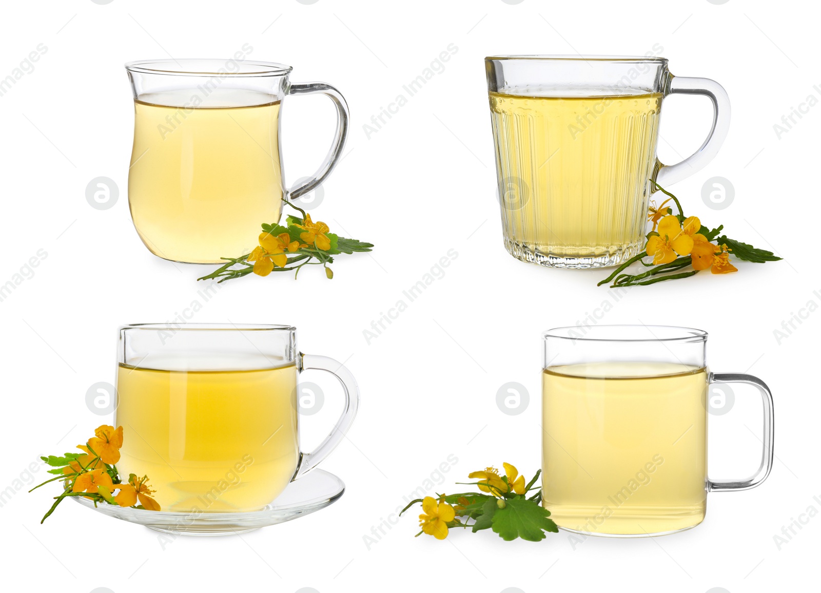 Image of Set with cups of  aromatic celandine tea on white background