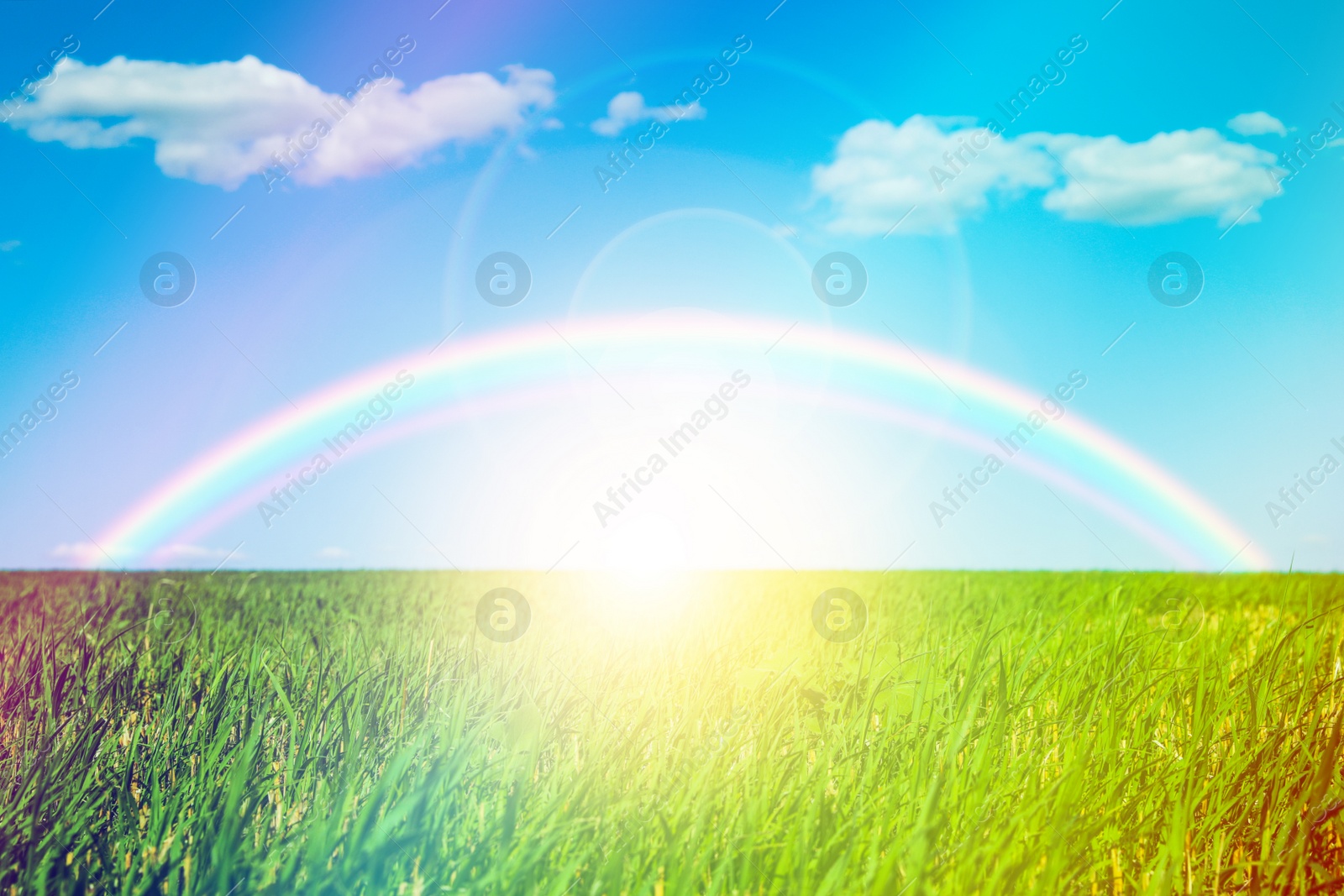 Image of Picturesque view of green meadow and beautiful rainbow in blue sky on sunny day