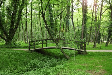 Photo of Picturesque view of tranquil park with green plants and bridge