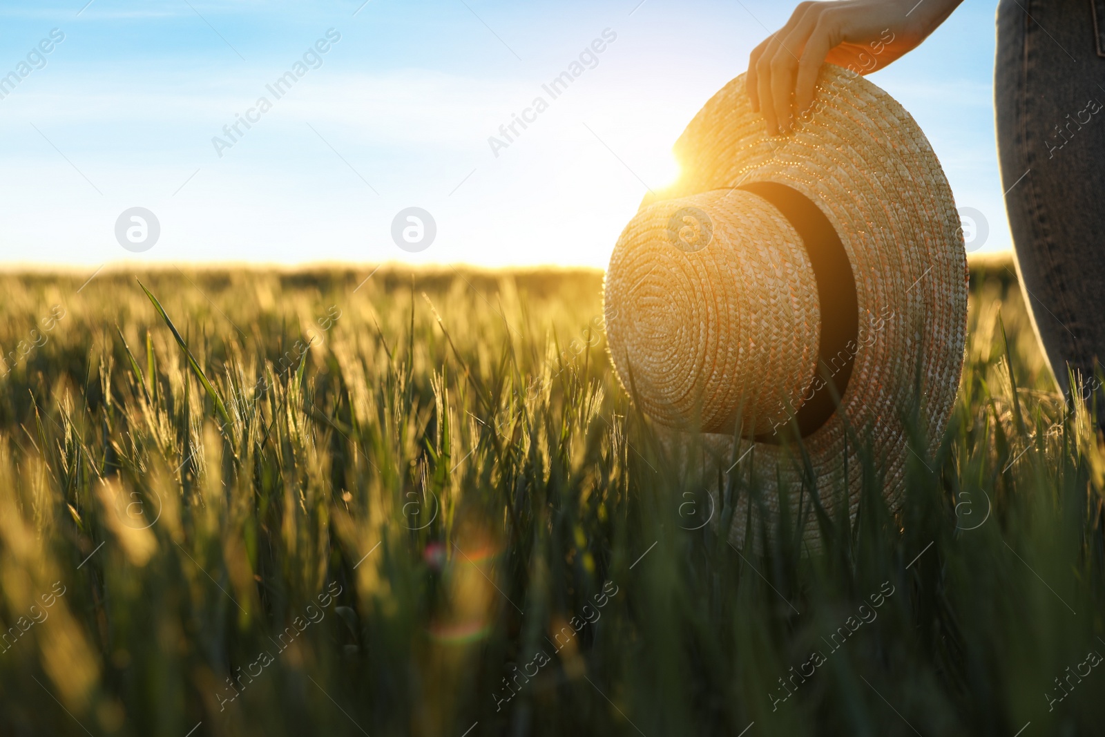 Photo of Woman in field with unripe spikes on sunny day, closeup