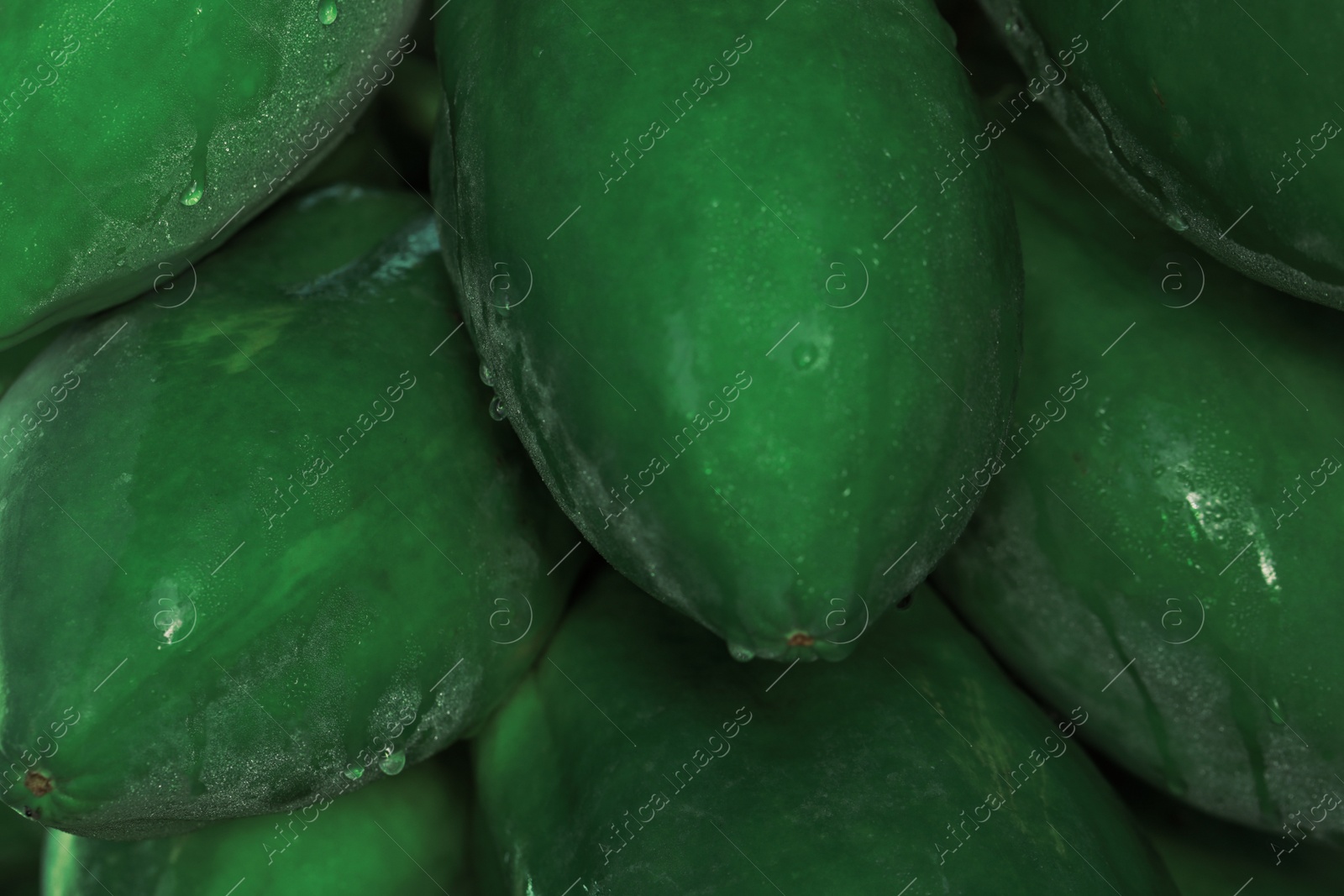 Photo of Unripe papaya fruits growing on tree outdoors, closeup view