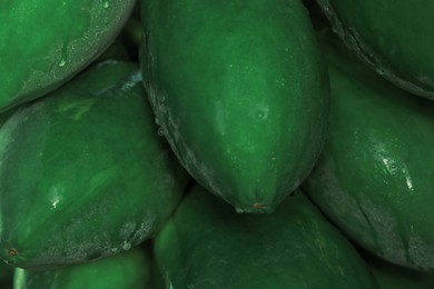 Photo of Unripe papaya fruits growing on tree outdoors, closeup view