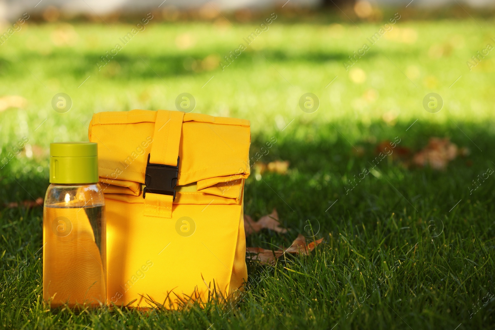 Photo of Lunch bag and bottle of water on green grass outdoors, space for text