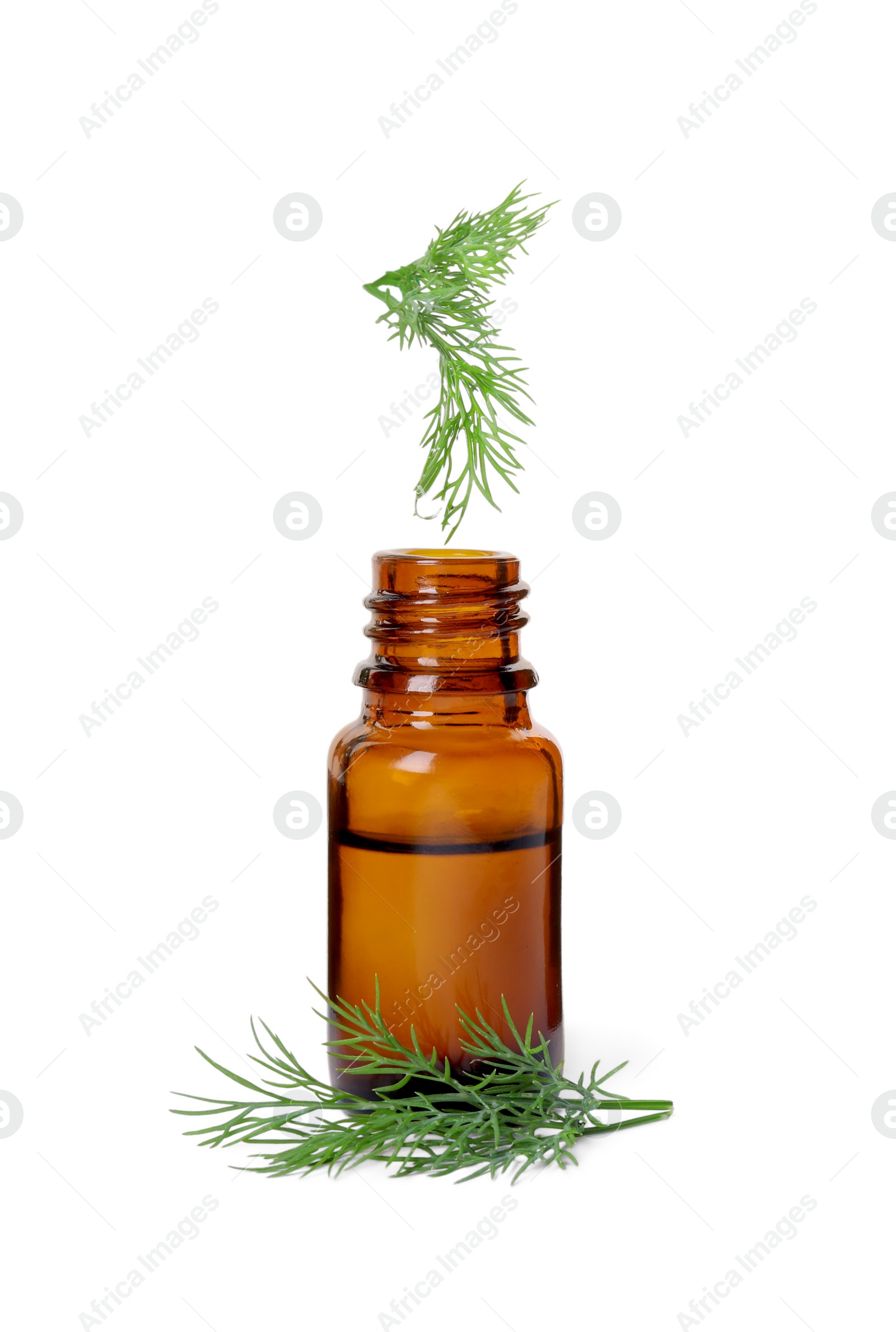 Photo of Bottle of essential oil and fresh dill isolated on white