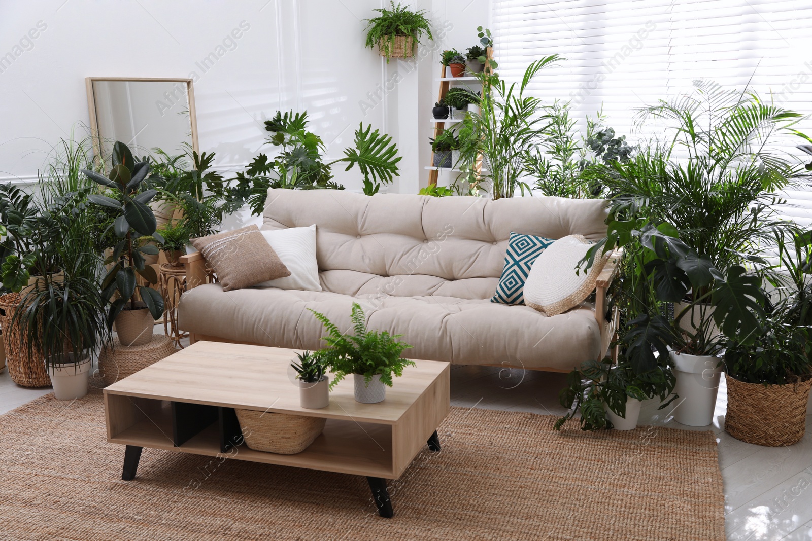 Photo of Stylish room interior with comfortable sofa and beautiful potted plants. Lounge zone