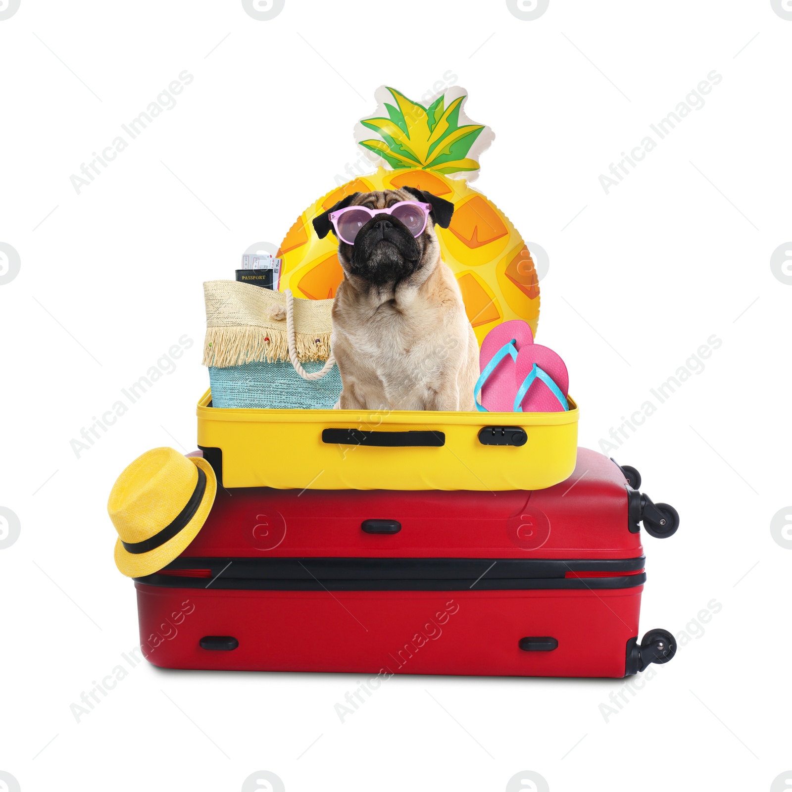 Image of Cute dog, suitcases and summer vacation items on white background. Travelling with pet