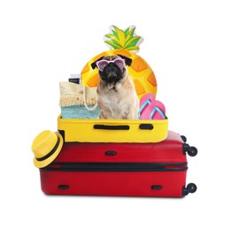 Image of Cute dog, suitcases and summer vacation items on white background. Travelling with pet