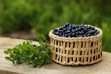 Delicious bilberries in bowl and twigs of green plant on wooden table outdoors