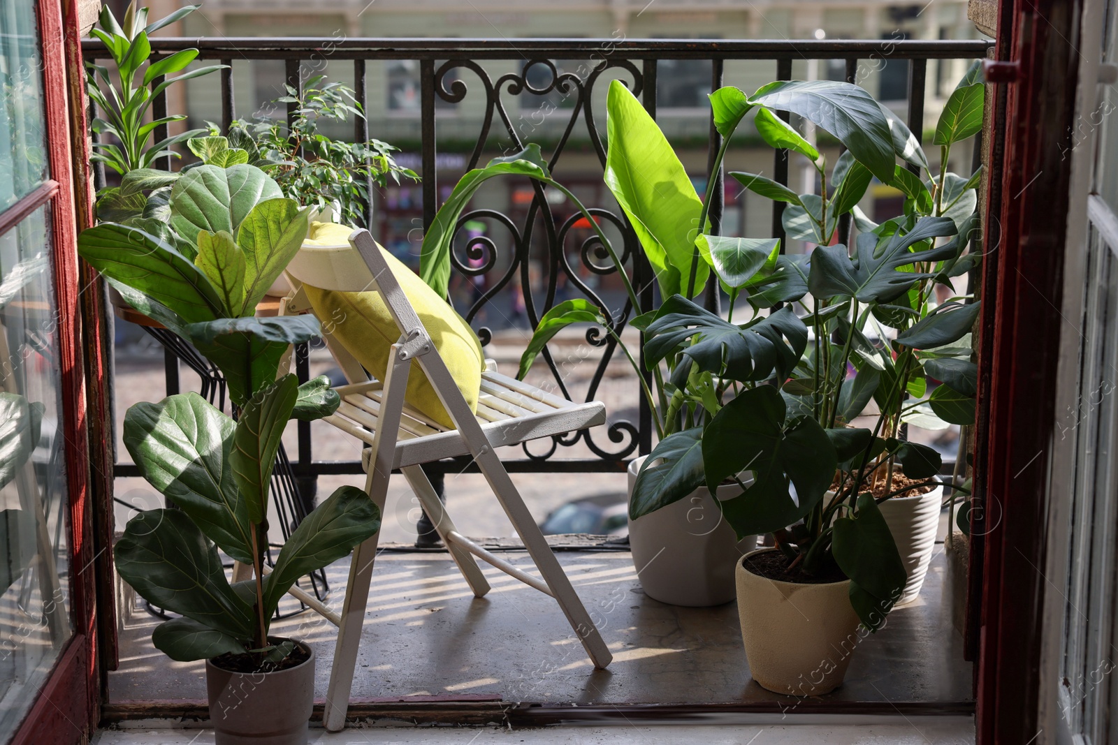 Photo of Relaxing atmosphere. Stylish chair with pillow surrounded by beautiful houseplants on balcony