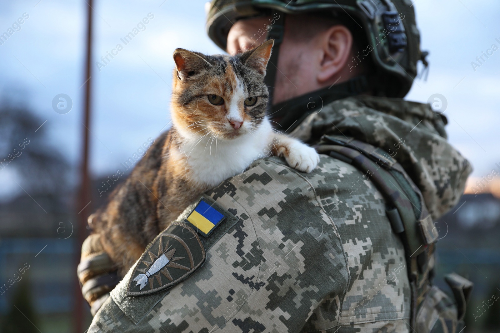 Photo of Little stray cat on Ukrainian soldier's shoulder outdoors, closeup