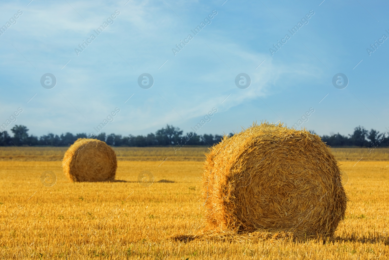 Photo of Beautiful view of agricultural field with hay bales