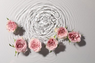 Photo of Beautiful roses in water on white background, top view