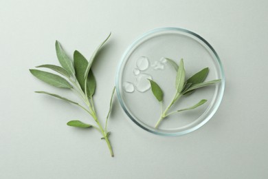 Photo of Flat lay composition with Petri dish and sage on light grey background