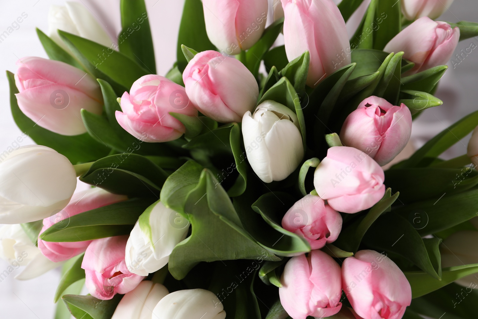 Photo of Big bouquet of beautiful tulips, closeup view