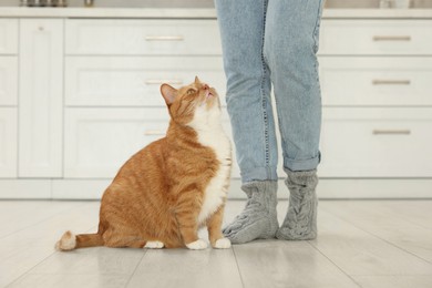 Woman with cute cat in kitchen at home, closeup