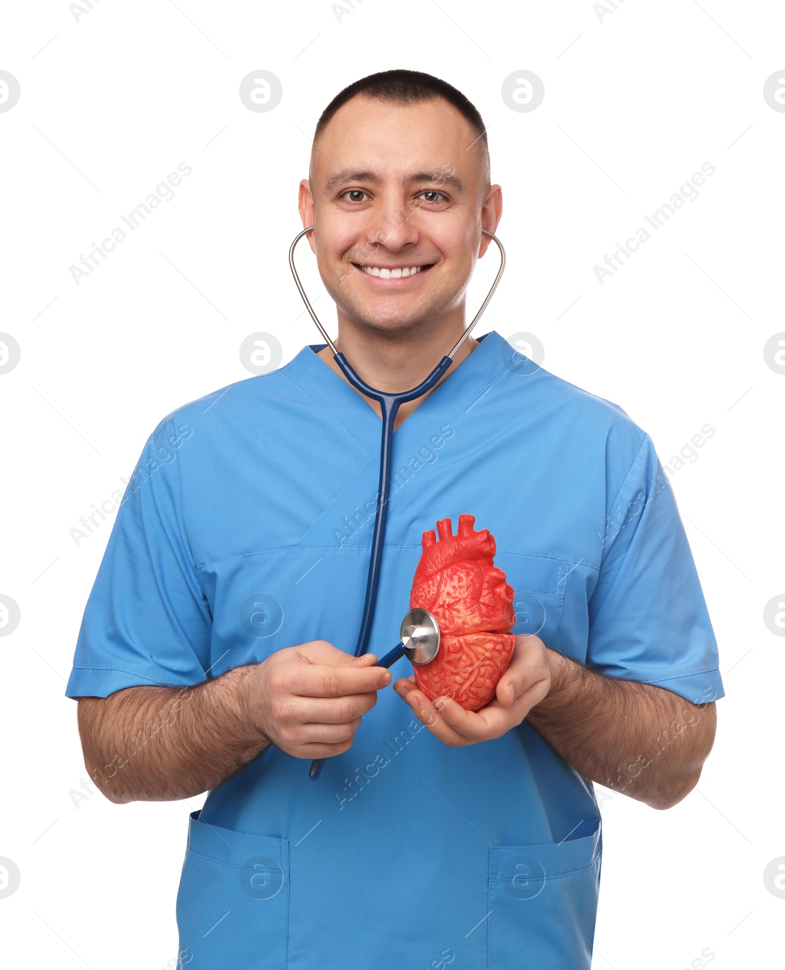 Photo of Doctor with stethoscope and model of heart on white background. Cardiology concept