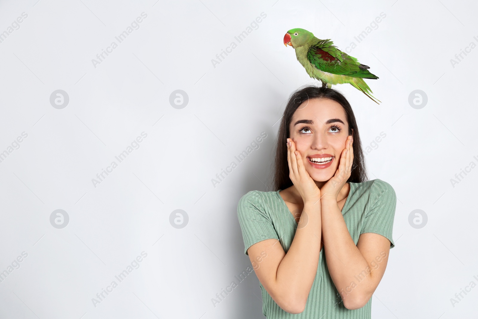 Photo of Young woman with Alexandrine parakeet on light background. Cute pet