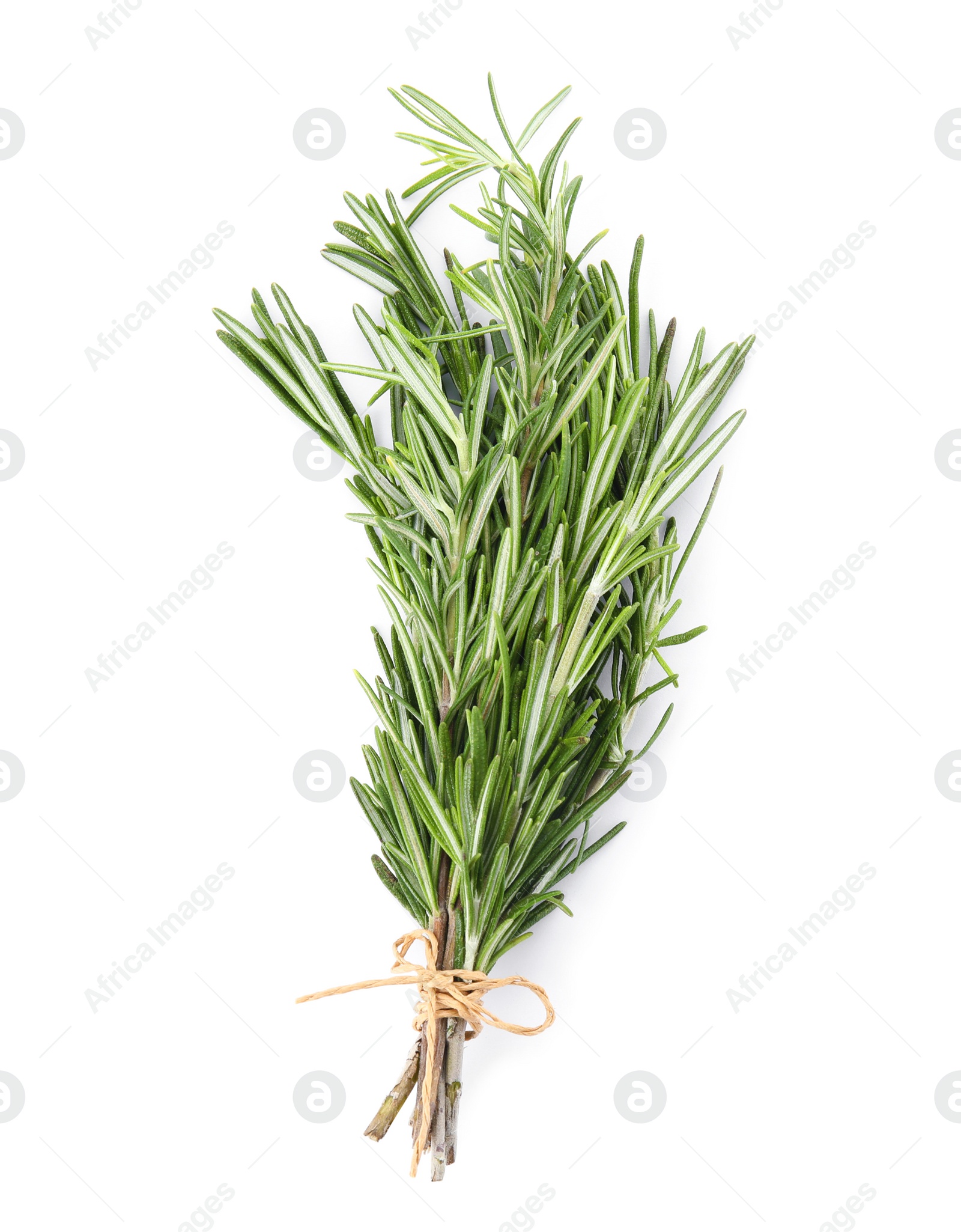 Photo of Bunch of fresh rosemary on white background, top view