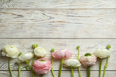 Photo of Beautiful ranunculus flowers on wooden background