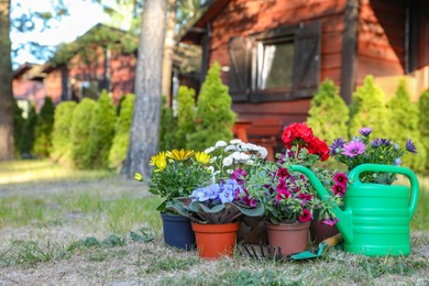 Photo of Beautiful blooming flowers and watering can on green grass in garden, space for text