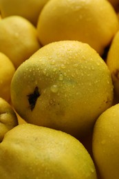 Delicious ripe quinces with water drops as background, closeup