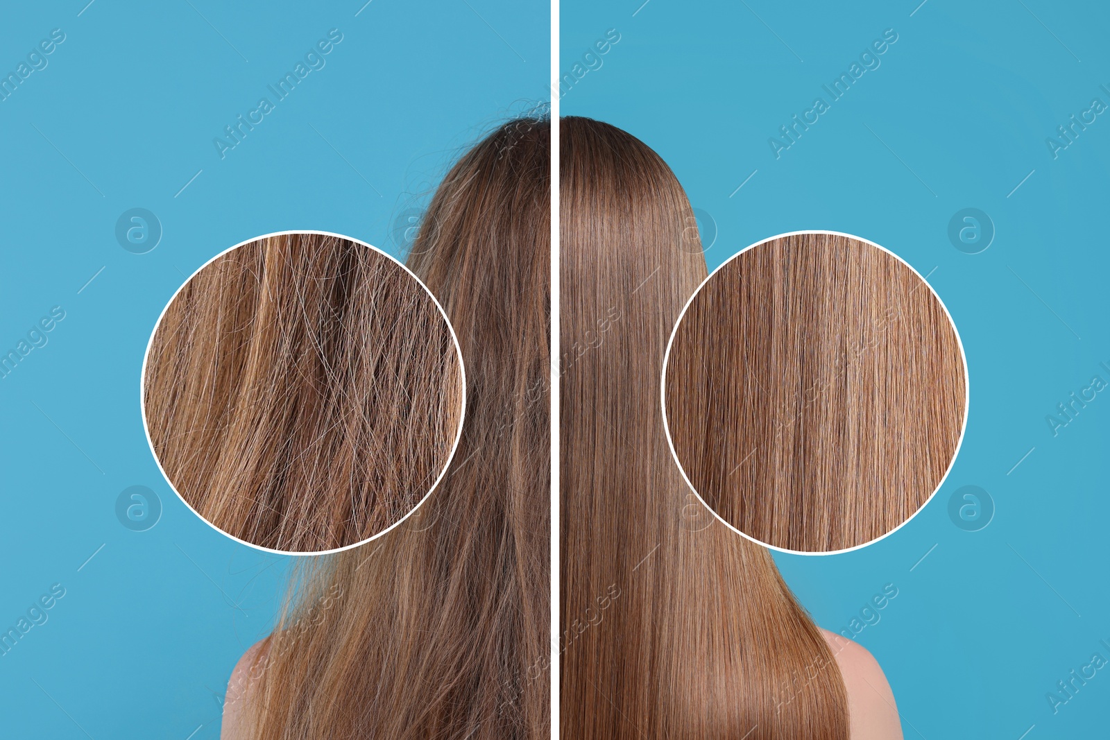 Image of Photo of woman divided into halves before and after hair treatment on light blue background, back view. Zoomed area showing damaged and healthy strand