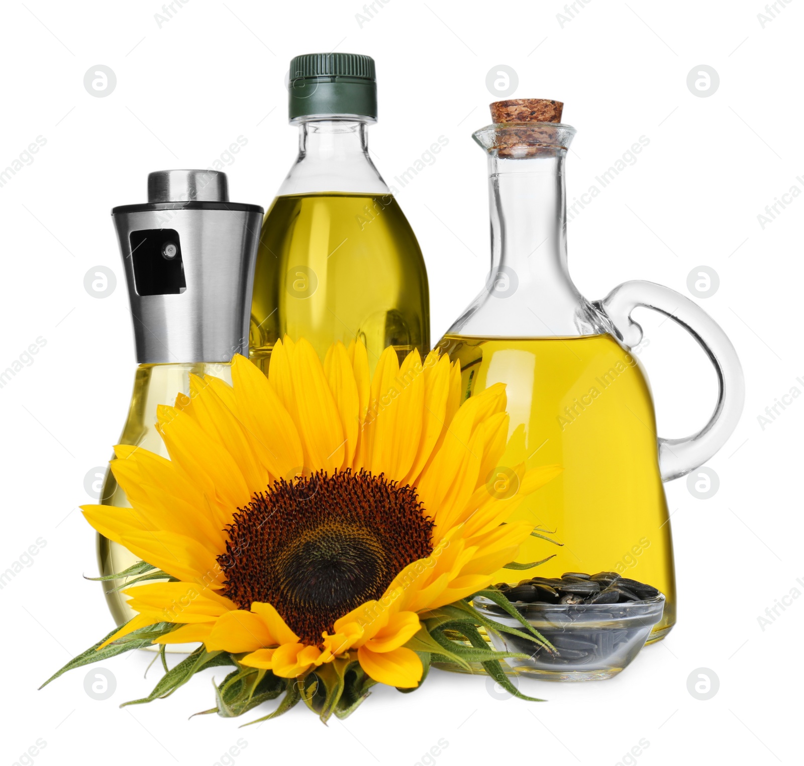 Photo of Bottles of cooking oil, sunflower and seeds on white background