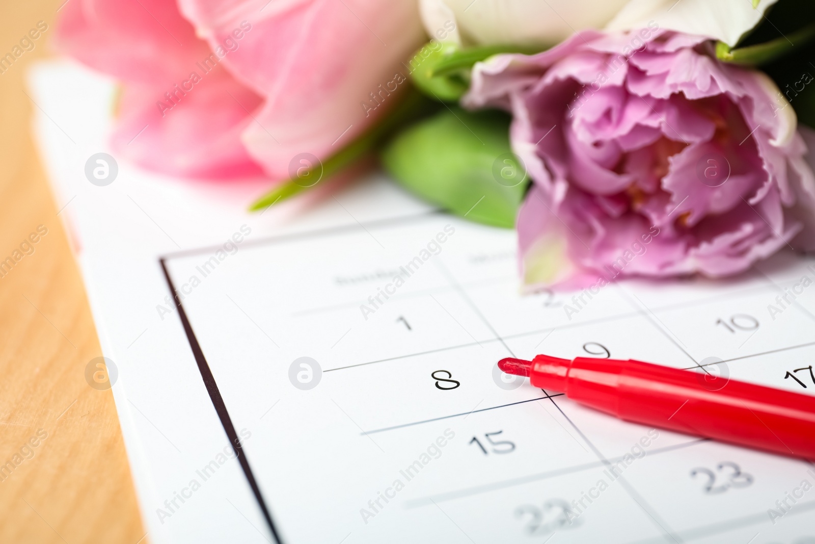 Photo of Tulips and red marker on calendar near date 8th of March, closeup. International Women's Day