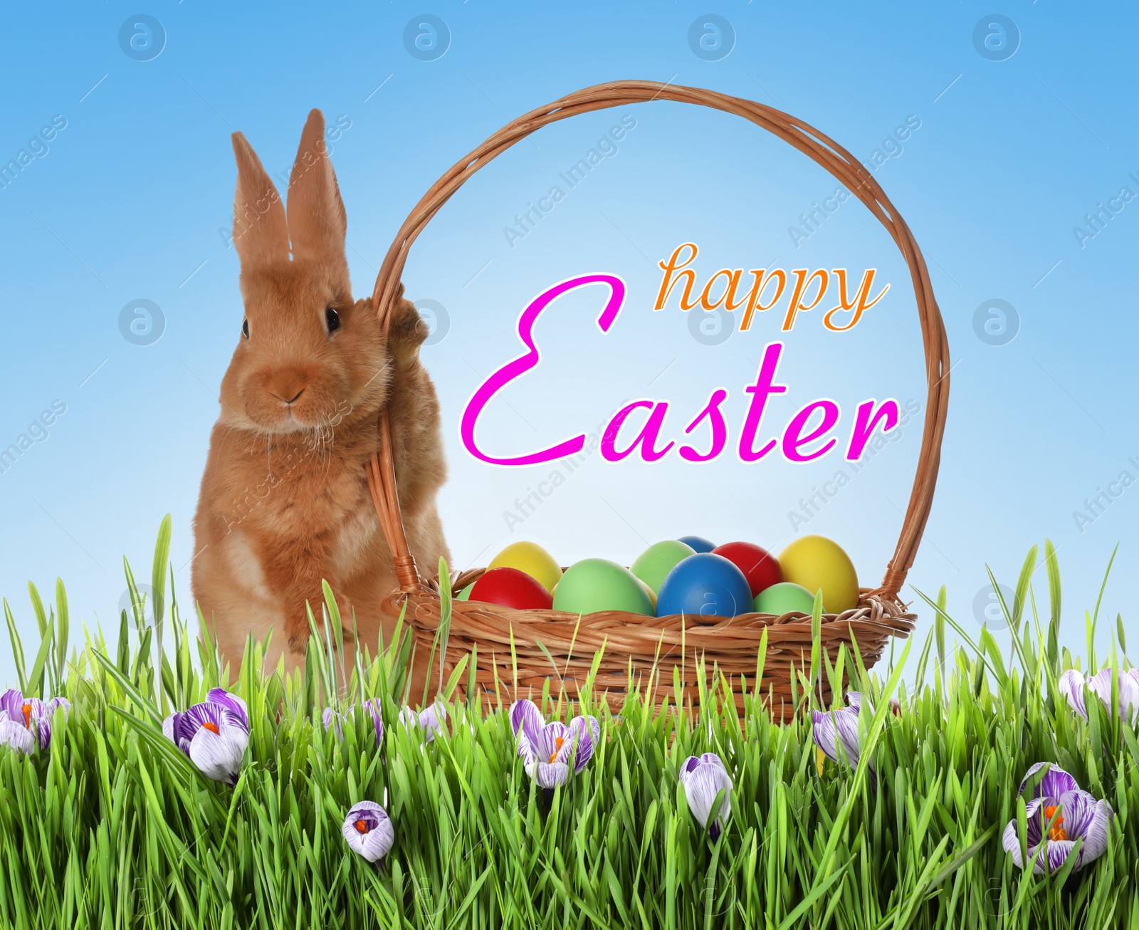 Image of Happy Easter. Adorable bunny near wicker basket with dyed eggs on green grass outdoors