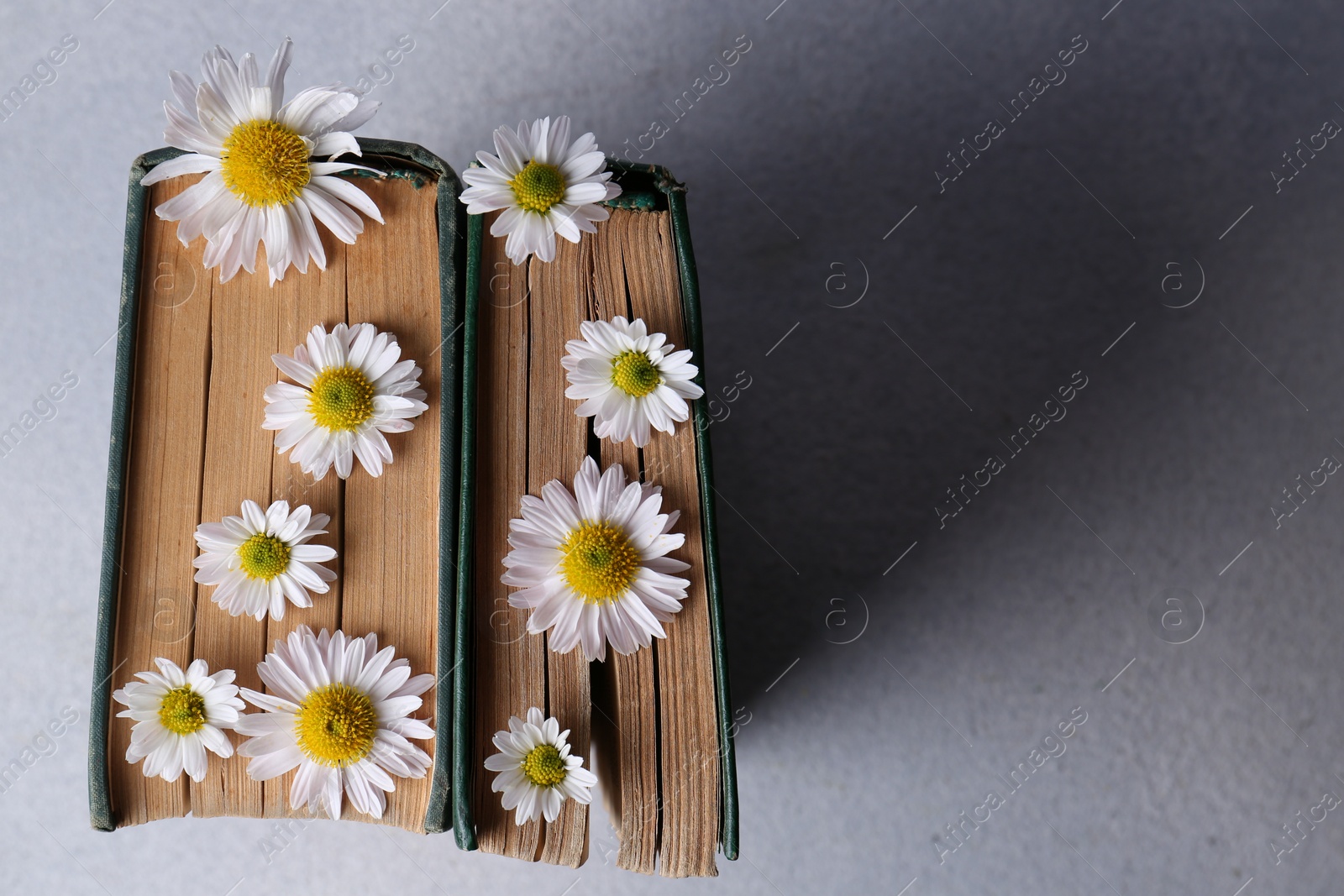 Photo of Books with chamomile flowers as bookmark on light gray table, top view. Space for text
