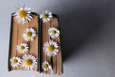 Books with chamomile flowers as bookmark on light gray table, top view. Space for text