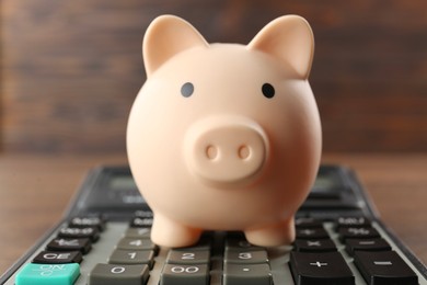 Photo of Calculator and piggy bank on table, closeup