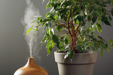 Photo of Air humidifier near houseplant against grey wall