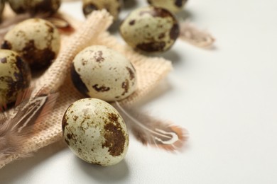 Photo of Speckled quail eggs and feathers on white table, closeup. Space for text