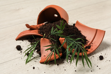 Photo of Broken terracotta flower pot with soil and plant on wooden floor
