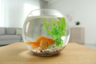 Photo of Beautiful bright small goldfish in round glass aquarium on wooden table at home
