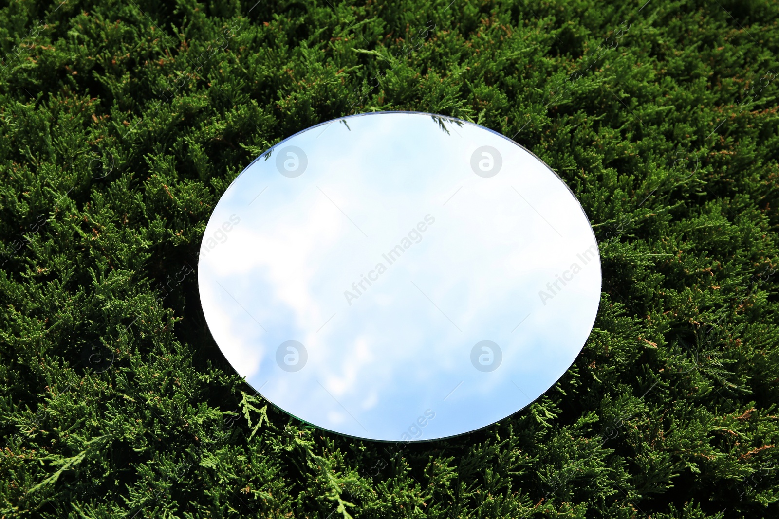 Photo of Round mirror on juniper shrub reflecting beautiful sky, closeup