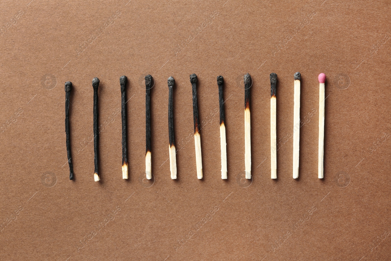 Photo of Row of burnt matches and whole one on color background, flat lay. Human life phases concept