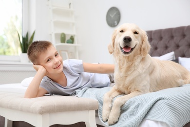 Cute little child with his pet on bed at home