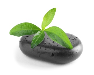 Photo of Spa stone and green leaves with water drops on white background