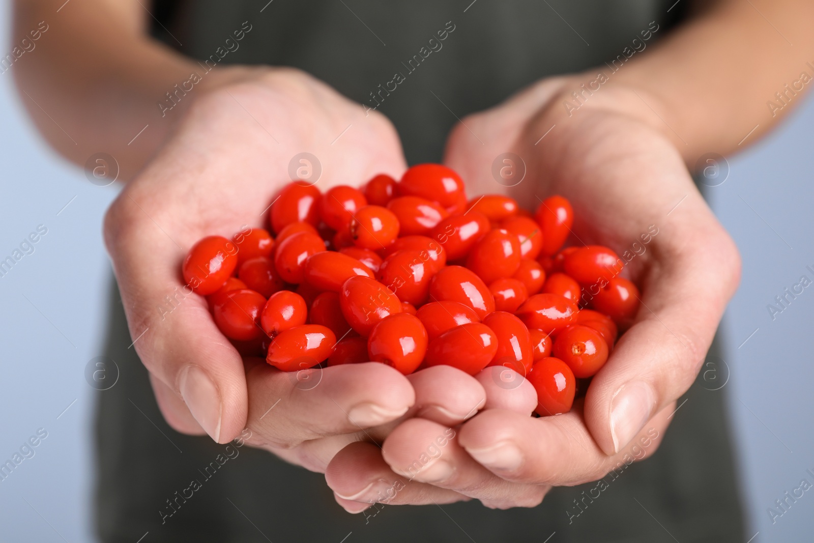 Photo of Woman holding fresh goji berries, closeup view