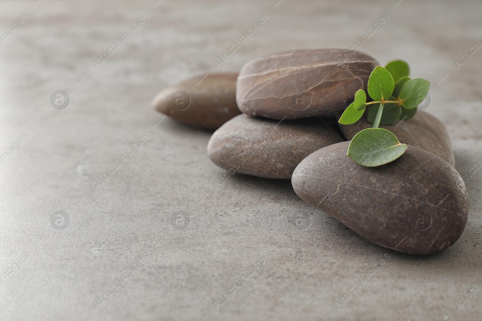 Photo of Spa stones with eucalyptus on color background. Space for text